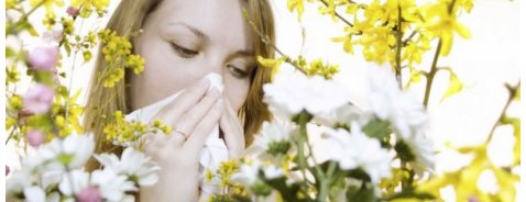 Combattere le allergie invernali