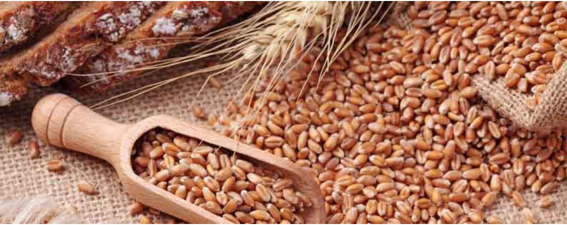 Come scoprire se si è celiaci? I test e gli esami per la celiachia