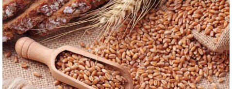 Come scoprire se si è celiaci? I test e gli esami per la celiachia