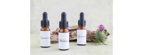 Contrastare l’ansia e la depressione con i Fiori di Bach: i nostri consigli Contrastare l’ansia e la depressione con i Fiori di Bach: i nostri consigli
