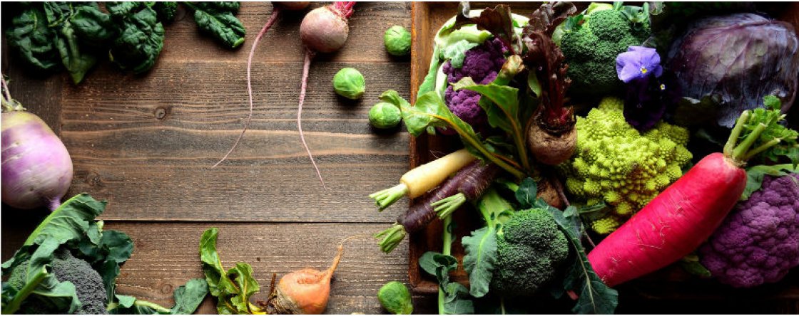Alimentazione in inverno