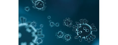 Coronavirus: cosa c'è da sapere Coronavirus: cosa c'è da sapere