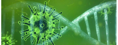 Virus e batteri, qual è la differenza? Virus e batteri, qual è la differenza?
