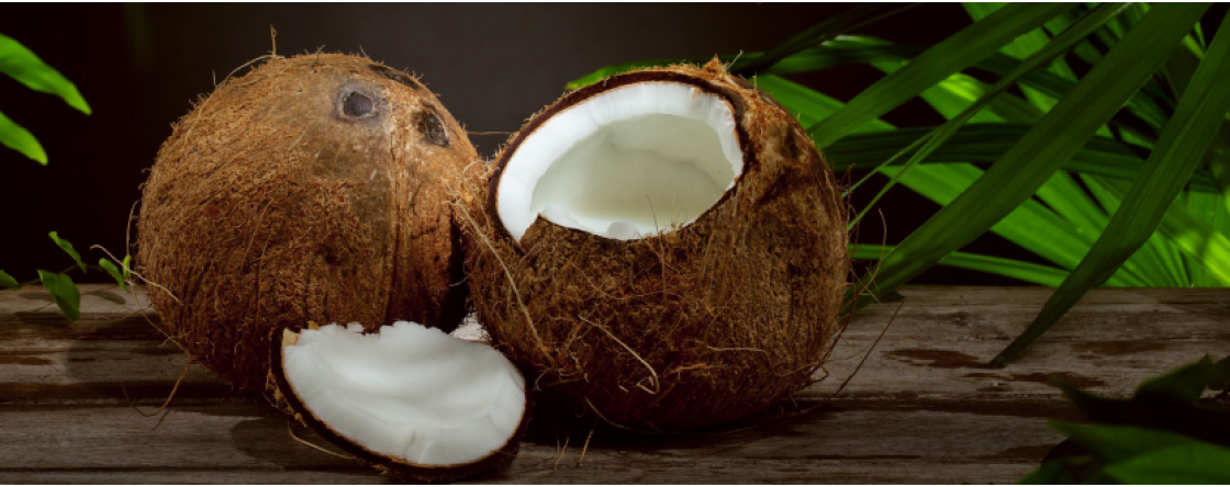 Il Cocco, proprietà benefiche e rinfrescanti