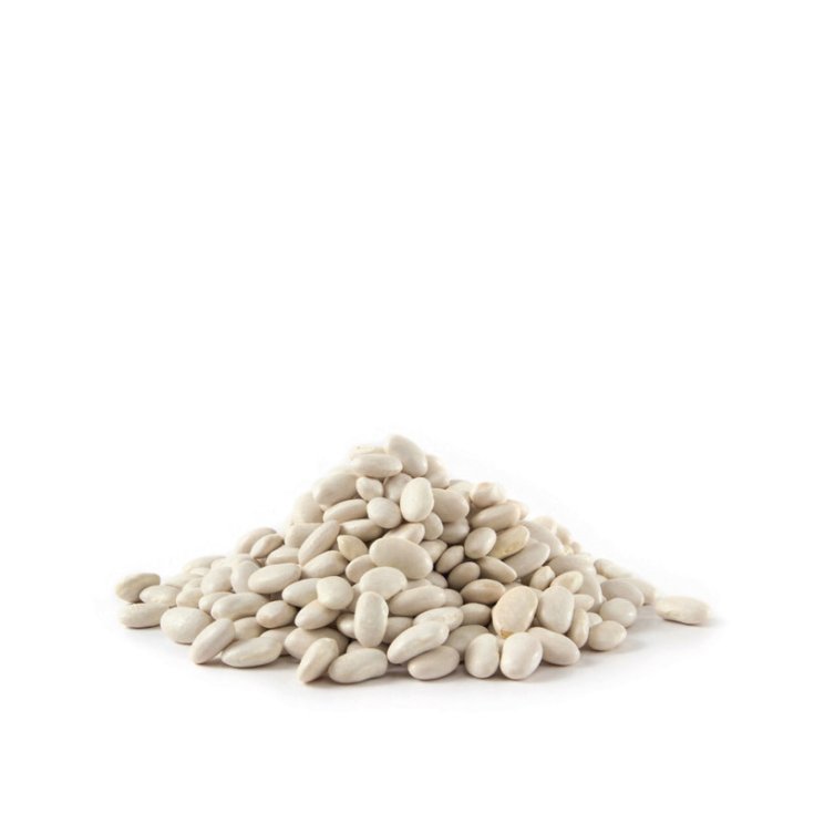 Cannellini Secchi Farmagourmet 500g