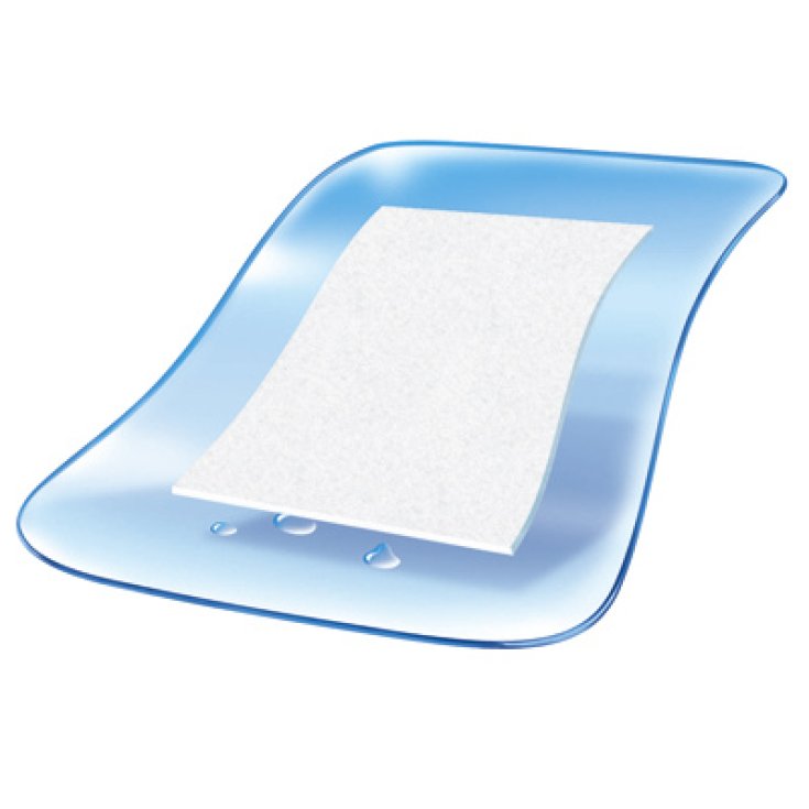 Cerotto Impermeabile Dr.Hop 20 Cerotti 19x72mm