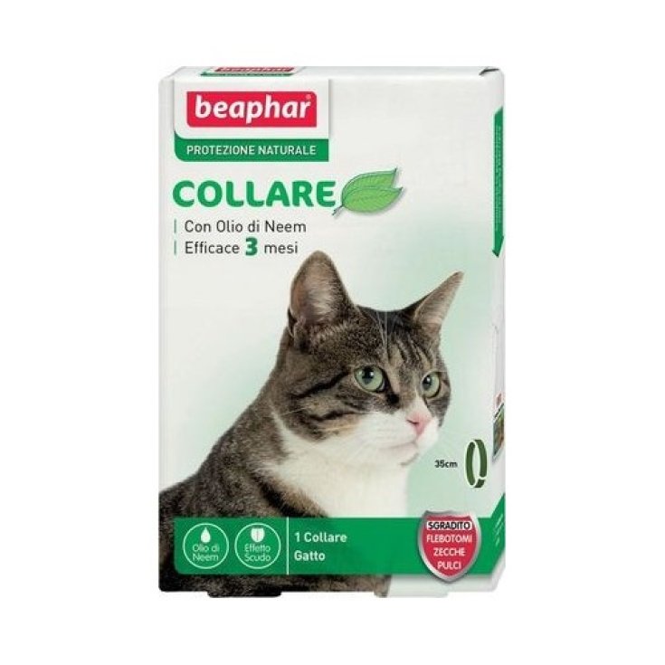 Protezione Naturale Collare Scudo Gatto - Collare