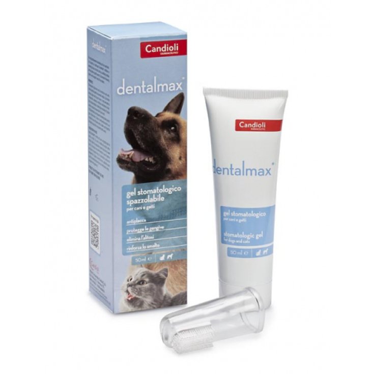 Dentalmax Gel - 50ML