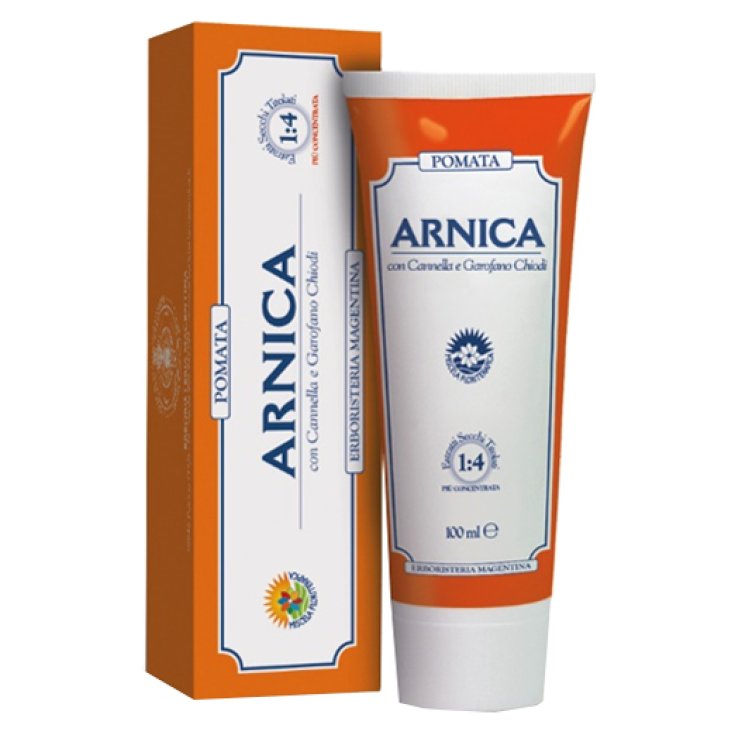 Arnica Pom Contusioni 100ml