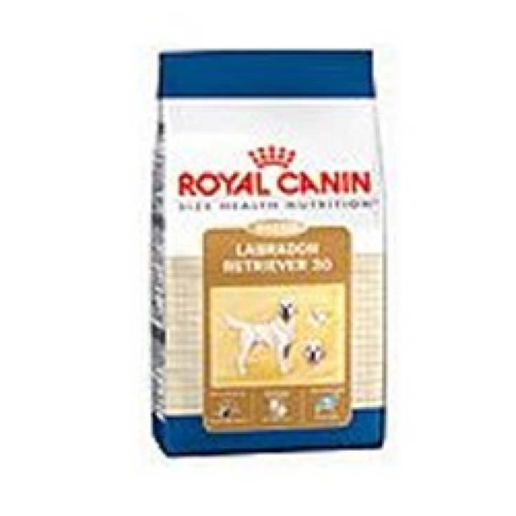 Labrador Retriever Adult - 3KG