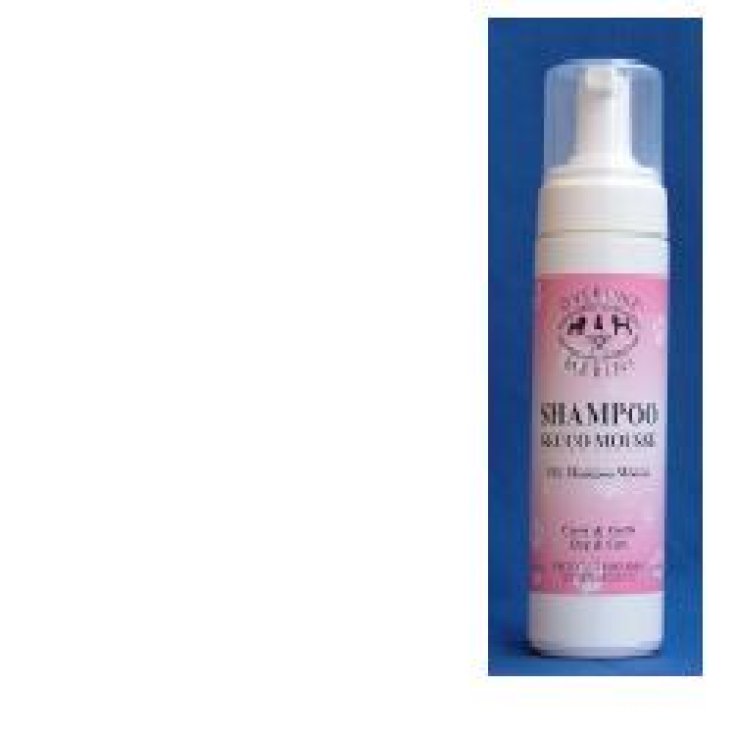 Shampoo Secco Mousse - 200ML