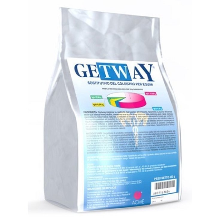 GETWAY POLVERE 450G