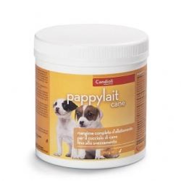 Pappylait Cane - 250GR