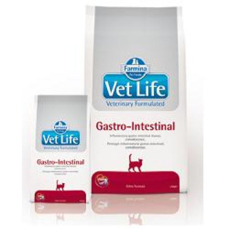 Vet Life Gastrointestinal - 400GR