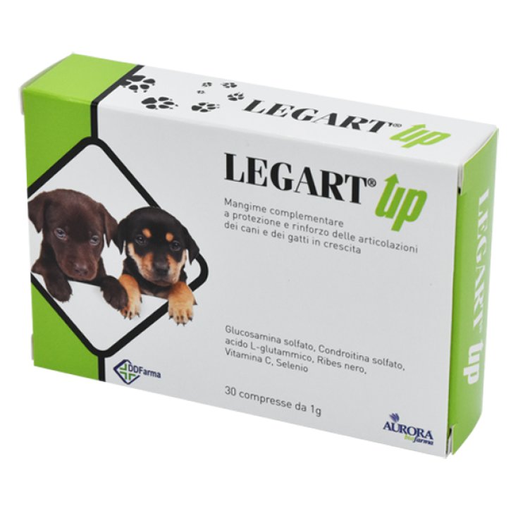Legart Up - 30X1GR