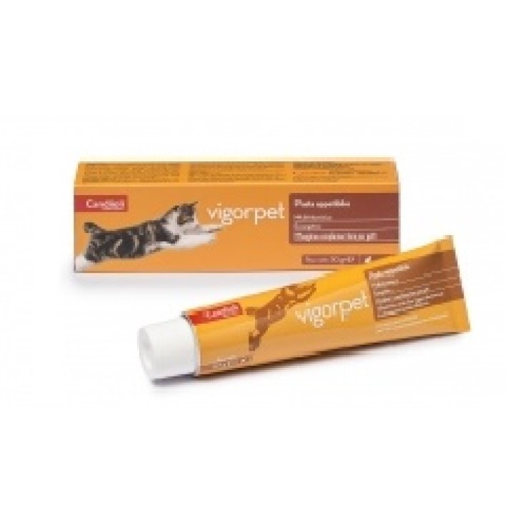 Vigorpet Gatti - 50 gr di Pasta Appetibile
