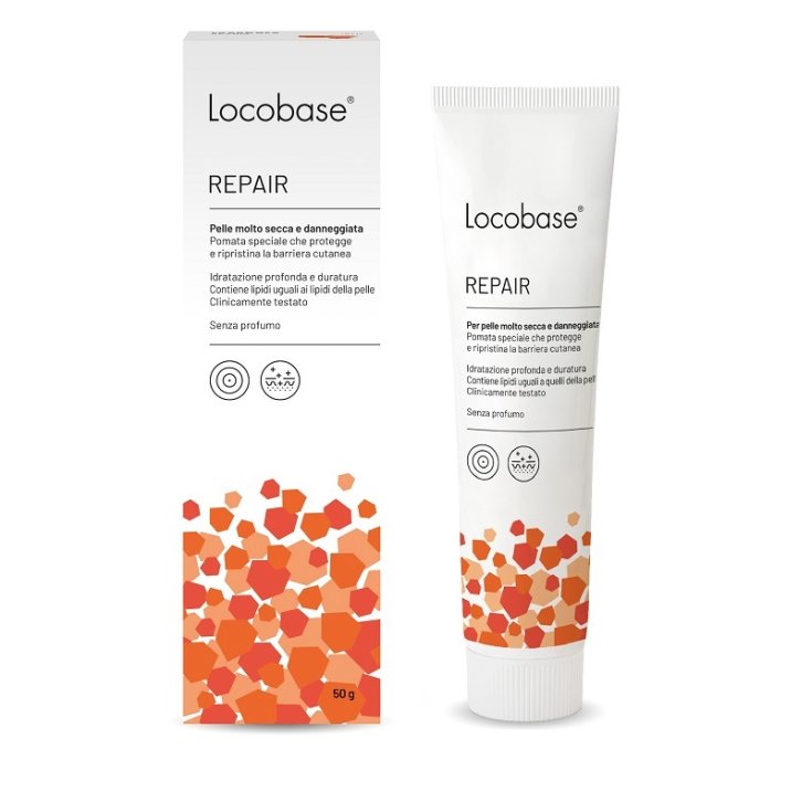 Locobase Repair