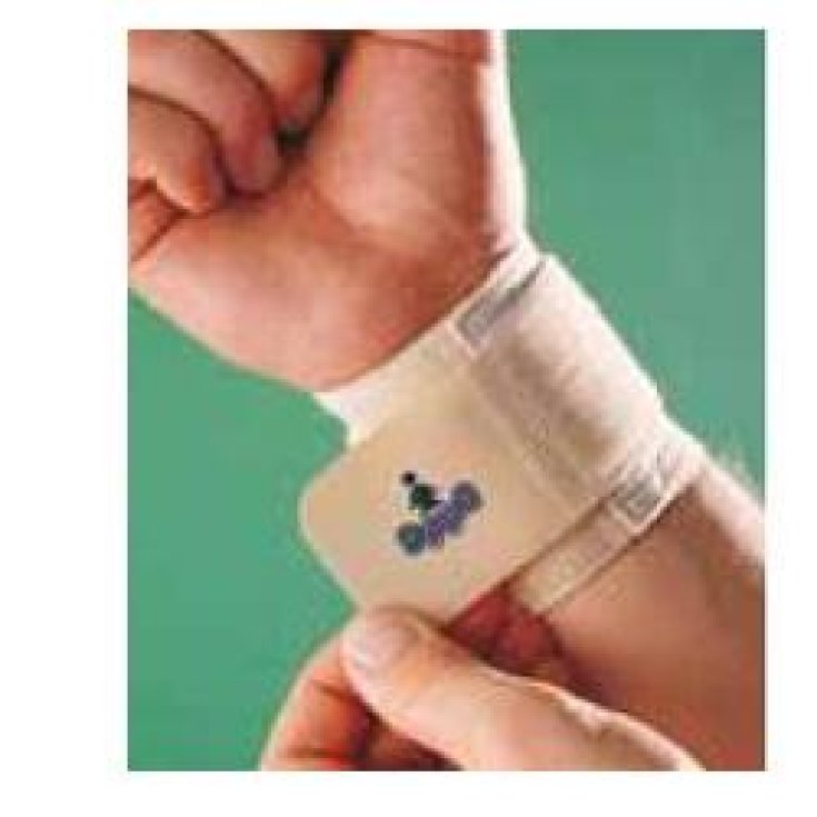 Oppo Polsiera 2081 Unica