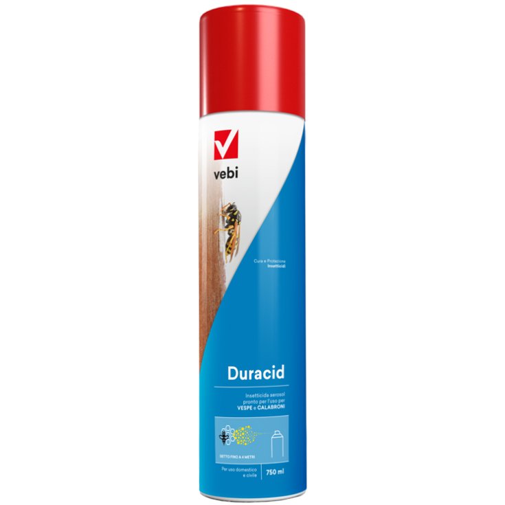 Vebi Duracid Spray Vespe 750ml