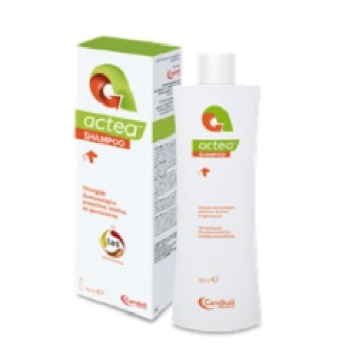 Actea Shampoo - 150ML