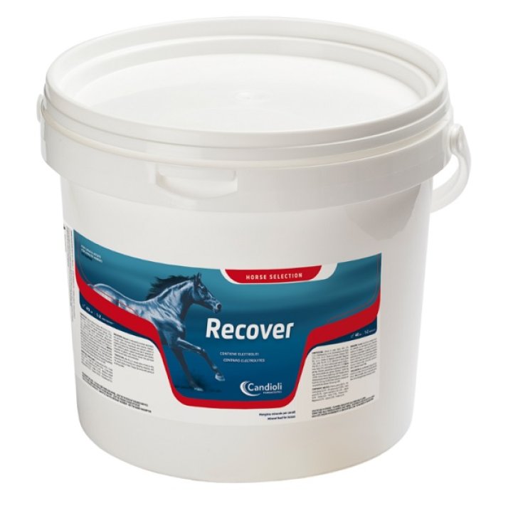 RECOVER REIDRATANTE CAV 15KG