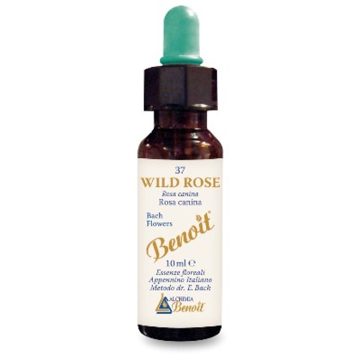Alchimia Benoit Wild Rose Integratore Alimentare 10ml