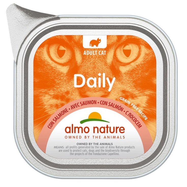 Daily Menu con Salmone - 100GR