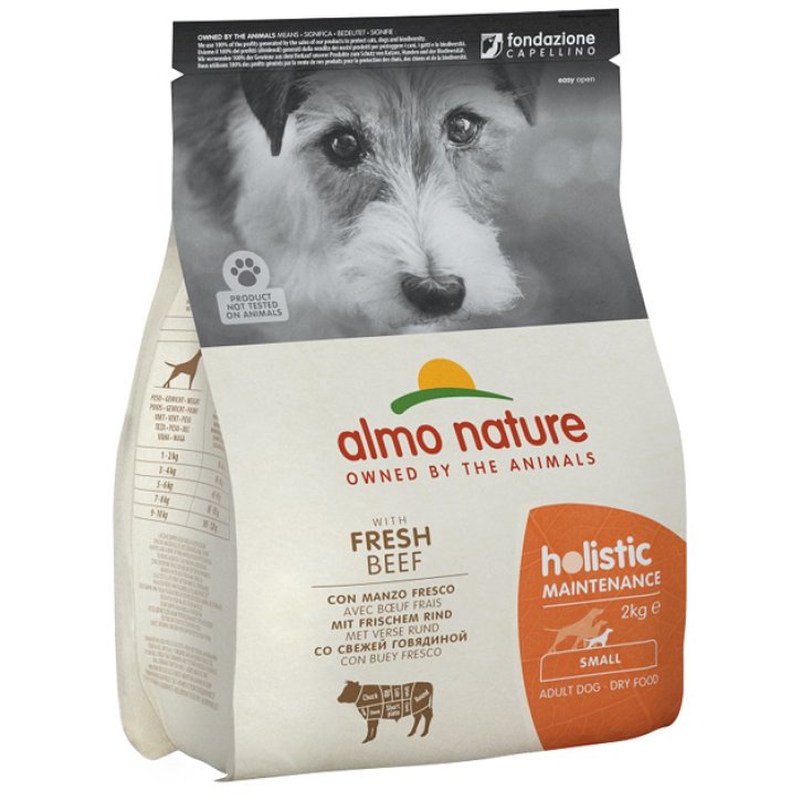 Holistic Fresh Small Manzo e Riso - 2KG