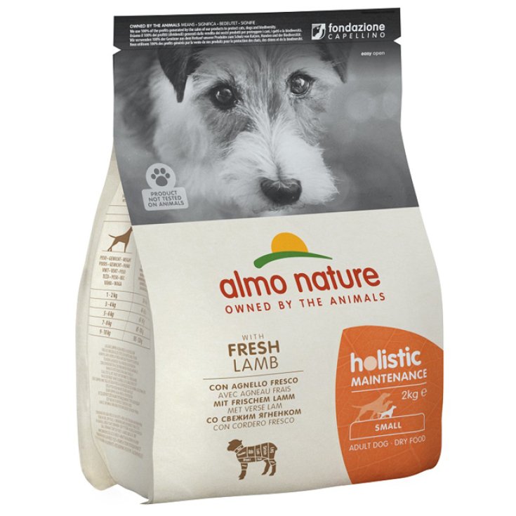 Holistic Fresh Small Agnello e Riso - 2KG