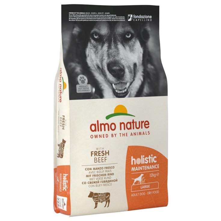 Holistic Fresh Large Manzo e Riso - 12KG