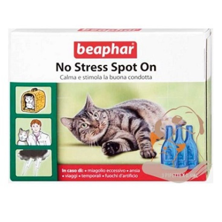 No Stress Spot On Gatto - Pipette