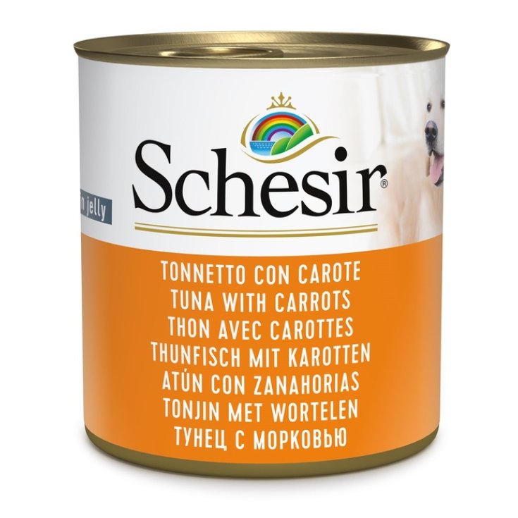 Tonnetto con Carote in Gelatina - 285GR