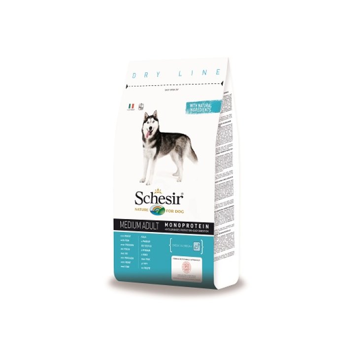 Dry Line Medium Mantenimento con Pesce - 12KG