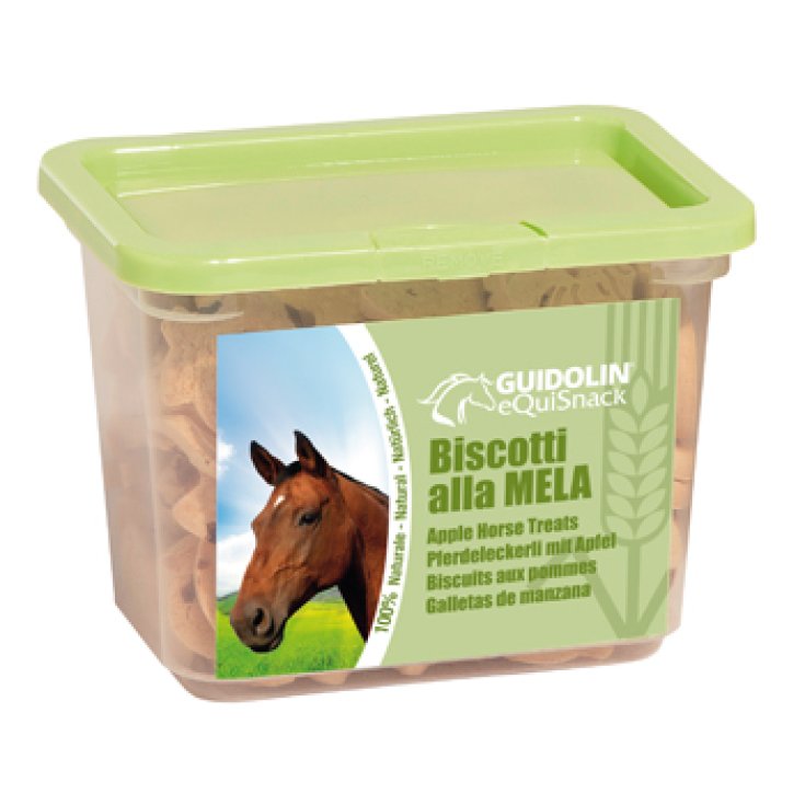 EQUISNACK BISCOTTI MELA 700G