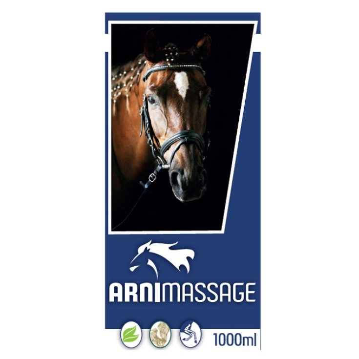 ARNIMASSAGE GEL 1000ML