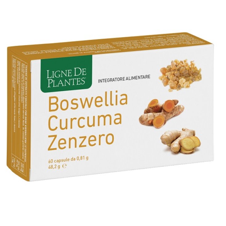 Boswellia Curcuma Zenzero 60 Capsule