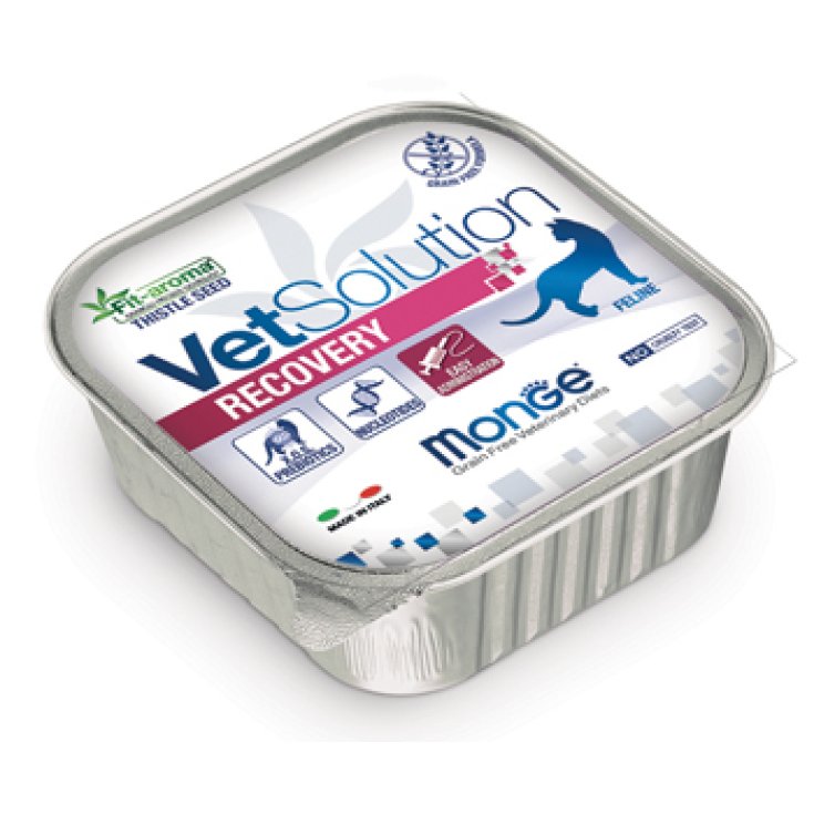VetSolution Recovery - 100GR
