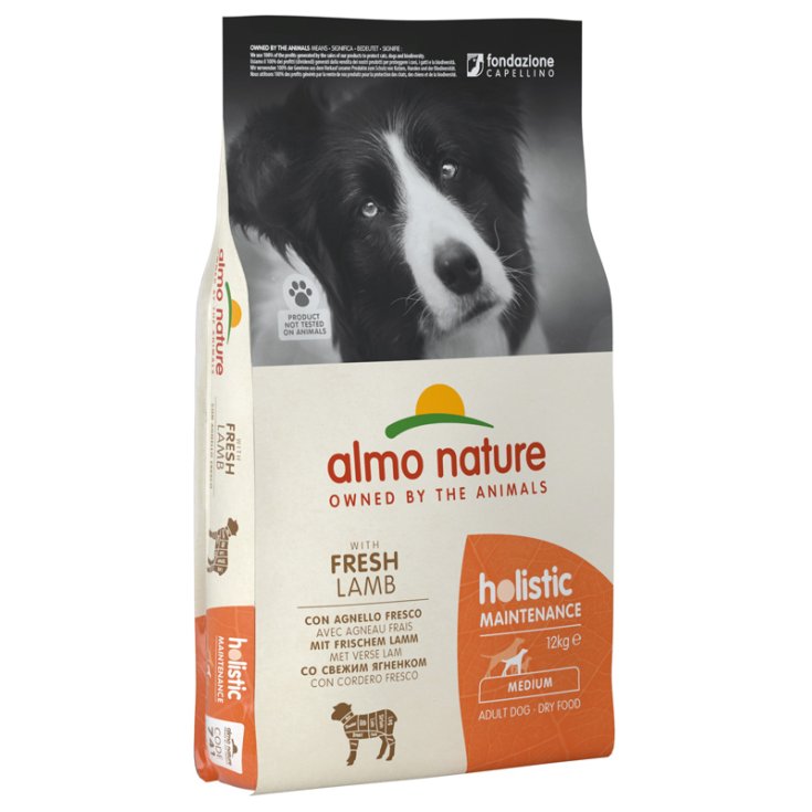 Holistic Fresh Medium Agnello e Riso - 12KG