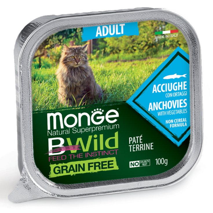 BWild Adult Pat&eacute; Terrine Acciughe con Ortaggi - 100GR