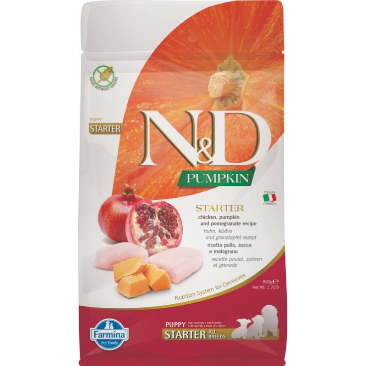 Natural & Delicious Pumpkin Starter Puppy - 800GR