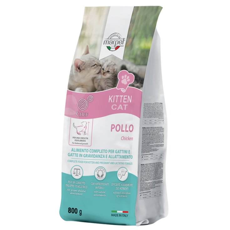 Equilibria Chef Kitten - 800GR
