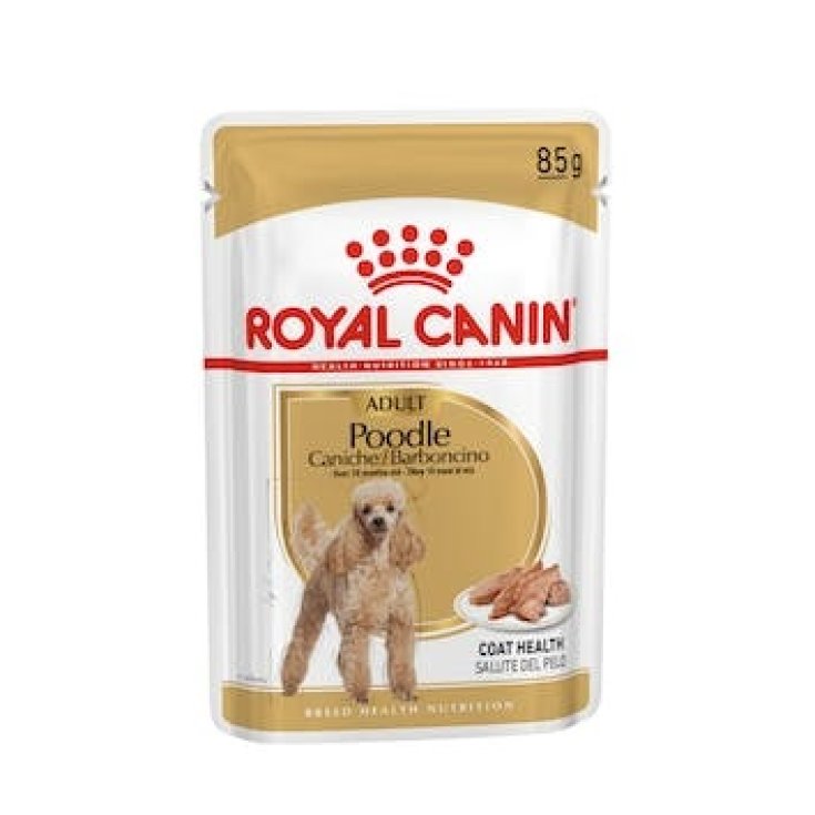 Poodle Adult - 85GR