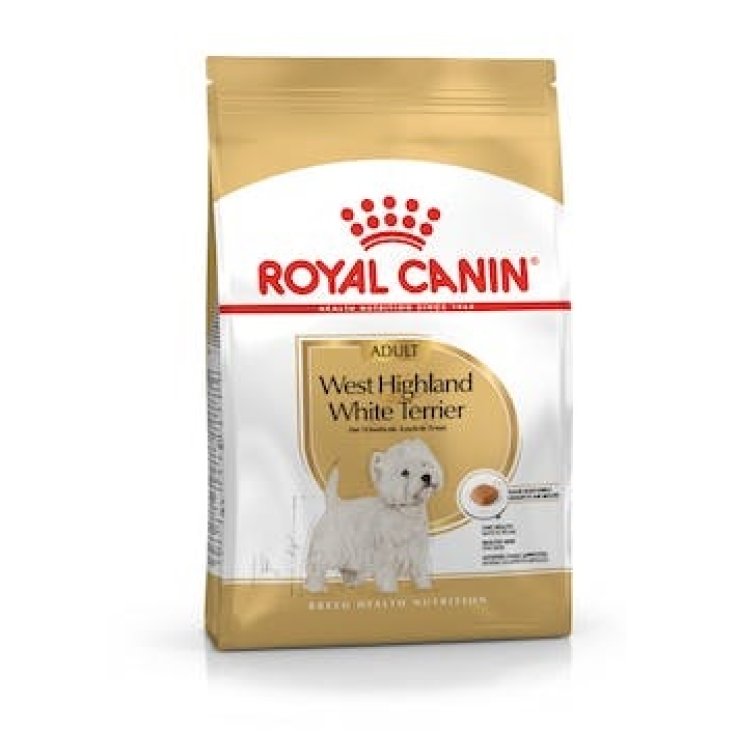 West Highland White Terrier Adult - 1,50KG