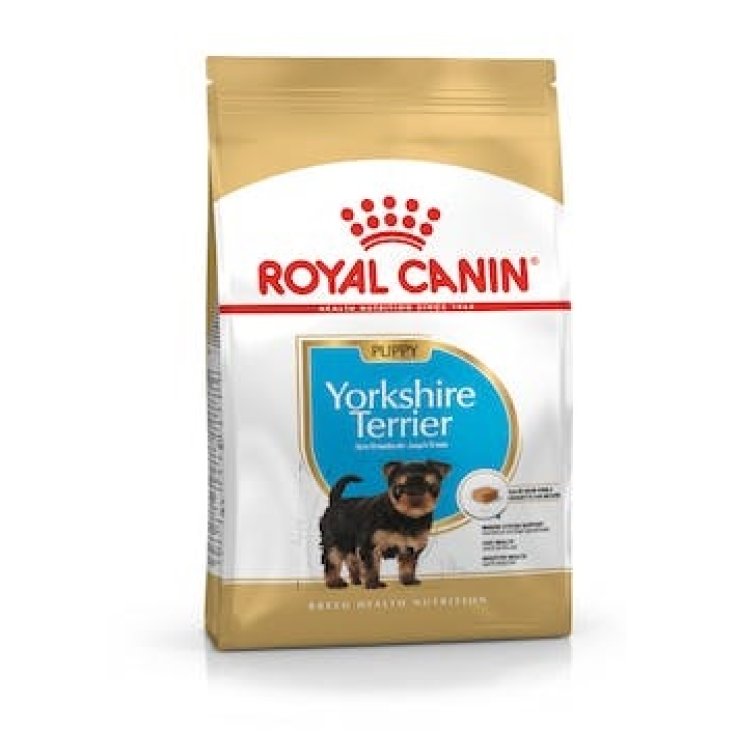Yorkshire Terrier Junior - 1,50KG