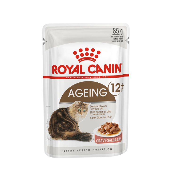 Ageing 12+ in Salsa - 85GR