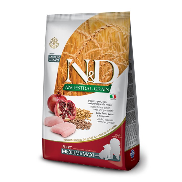 Natural & Delicious Ancestral Grain Puppy Medium & Maxi con Pollo e Melograno - 12KG