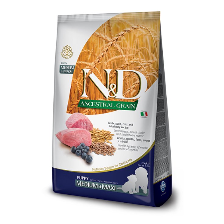 Natural & Delicious Ancestral Grain Puppy Medium & Maxi con Agnello e Mirtillo - 12KG