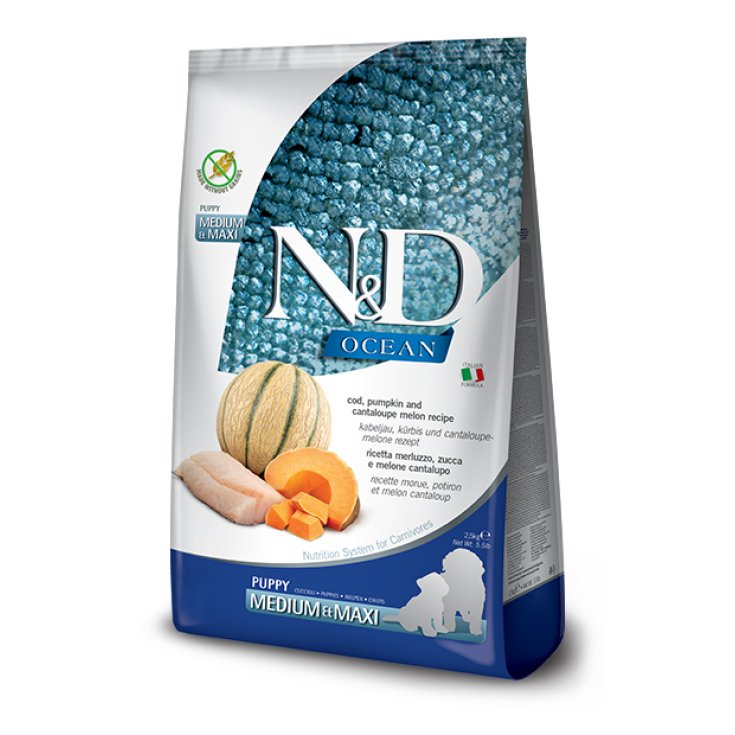 Natural & Delicious Medium Maxi Ocean Puppy con Merluzzo, Zucca e Cantalupo - 12KG