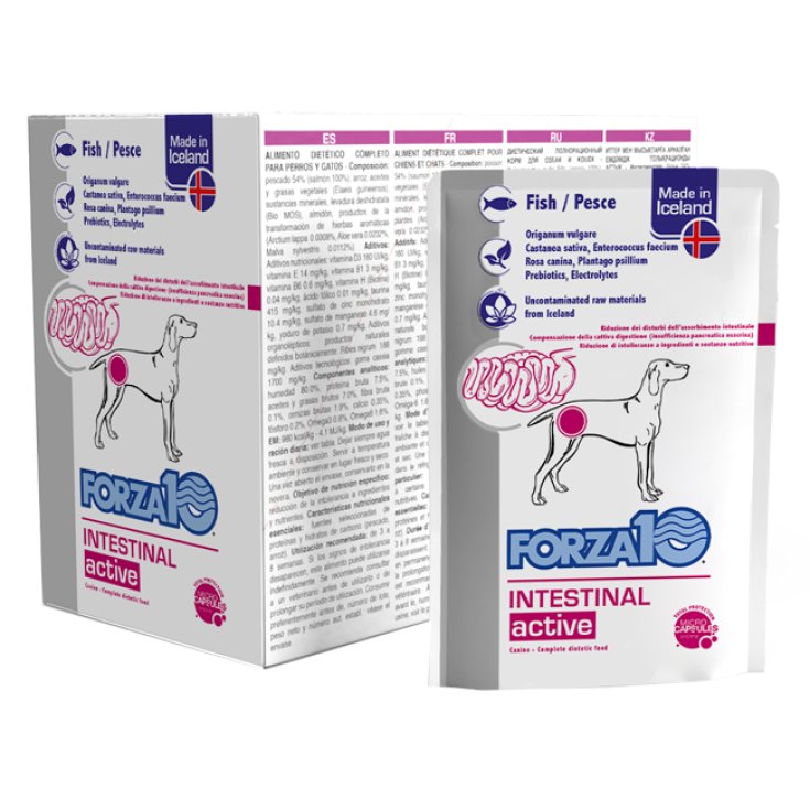 Actiwet Dog Intestinal Pesce - 100GR