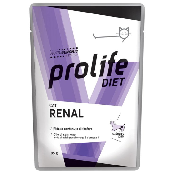 Diet Cat Renal - 85GR